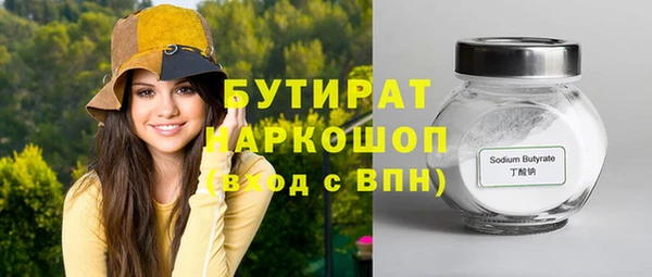 индика Михайловск