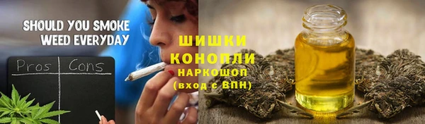 ECSTASY Медногорск