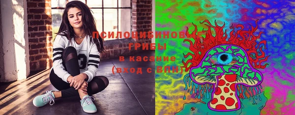 дживик Медвежьегорск