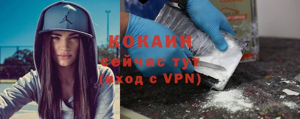 дживик Медвежьегорск