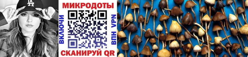 Купить закладки  Амурск  Галлюциногенные грибы MAGIC MUSHROOMS 