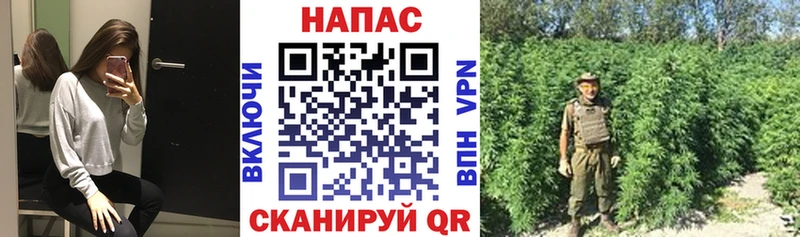 Конопля Bruce Banner Купить где Амурск